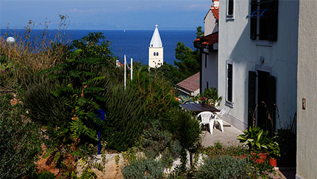 Alloggio - Appartamenti - L'isola di Lussino - Mali Lošinj - Unije - Croazia