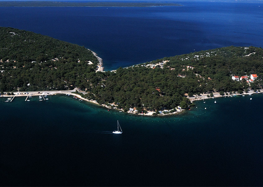 Alloggio - Appartamenti - L'isola di Lussino - Mali Lošinj - Unije - Croazia