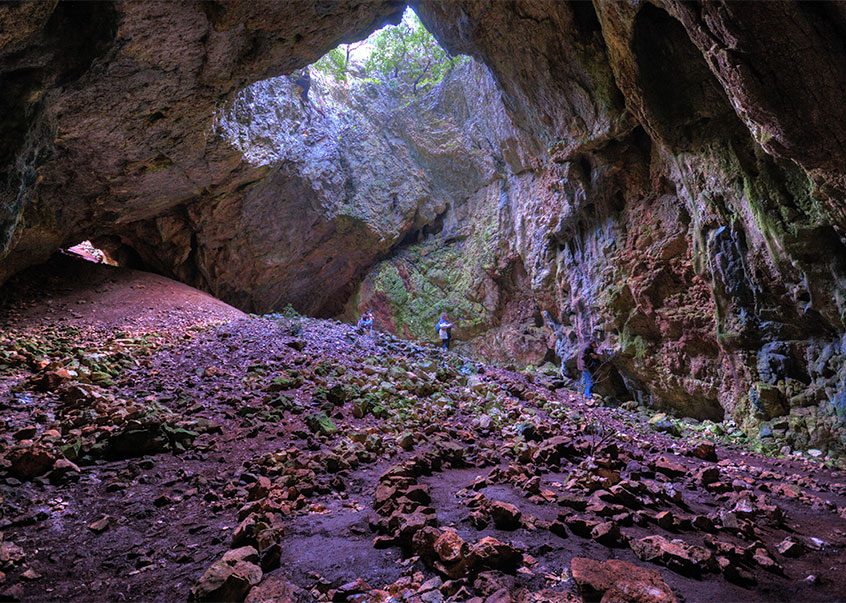 Alloggio - Appartamenti - L'isola di Lussino - Mali Lošinj - Unije - Croazia