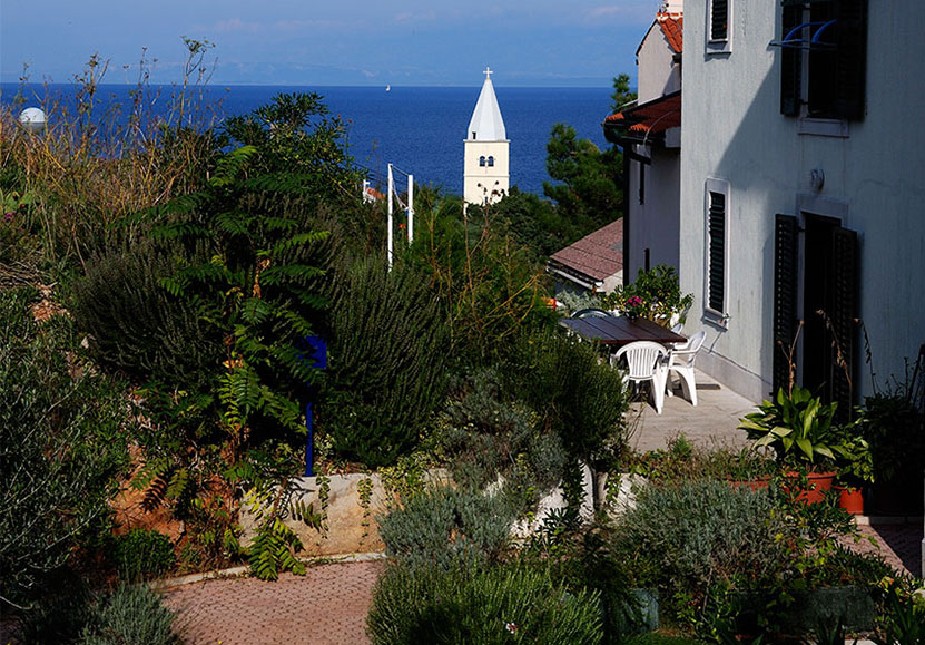 Alloggio - Appartamenti - L'isola di Lussino - Mali Lošinj - Unije - Croazia